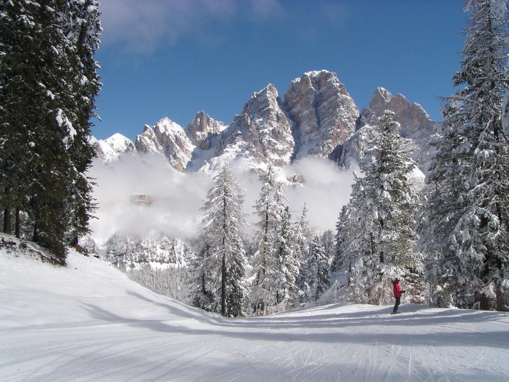 Villa Cristallino -Stayincortina 科尔蒂纳丹佩佐 外观 照片